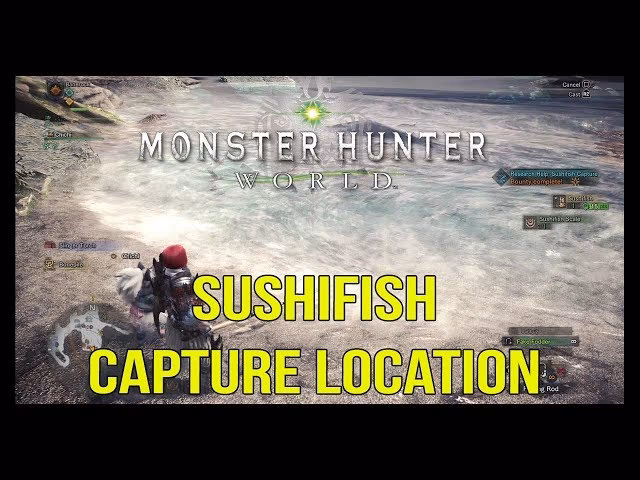 Where can I find a great sushifish spawn?