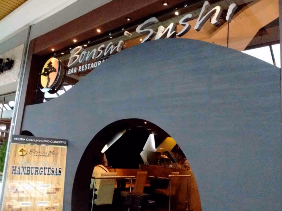 ¿Qué ramas no son bienvenidas en un bonsái?