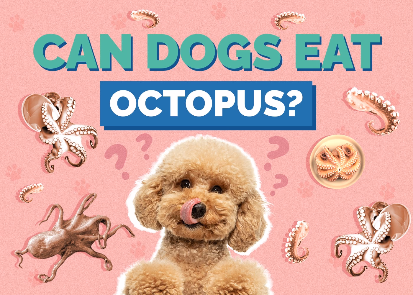 How to slice octopus for sushi and sashimi?