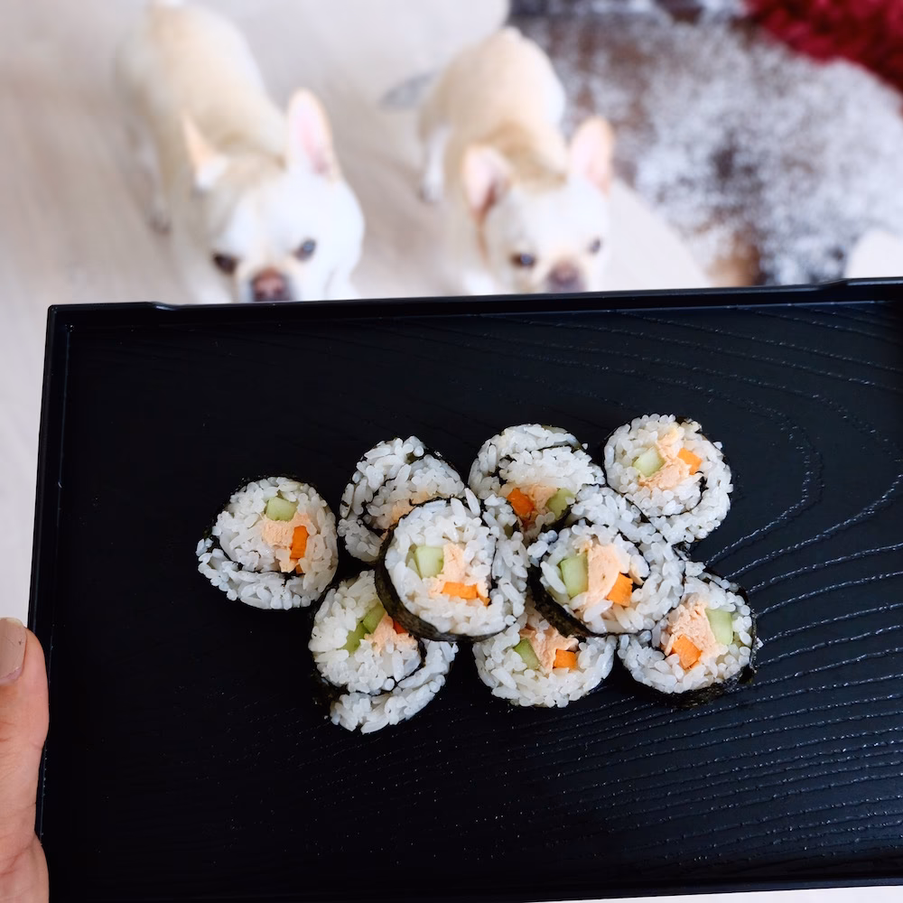 Can dogs eat sushi?