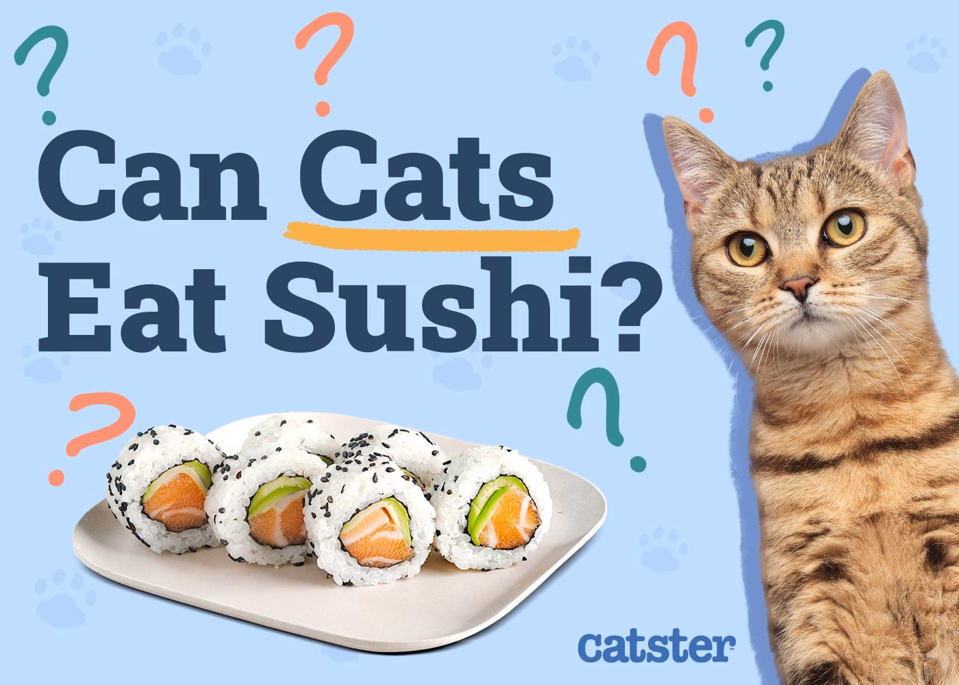 How does sushi cat work?