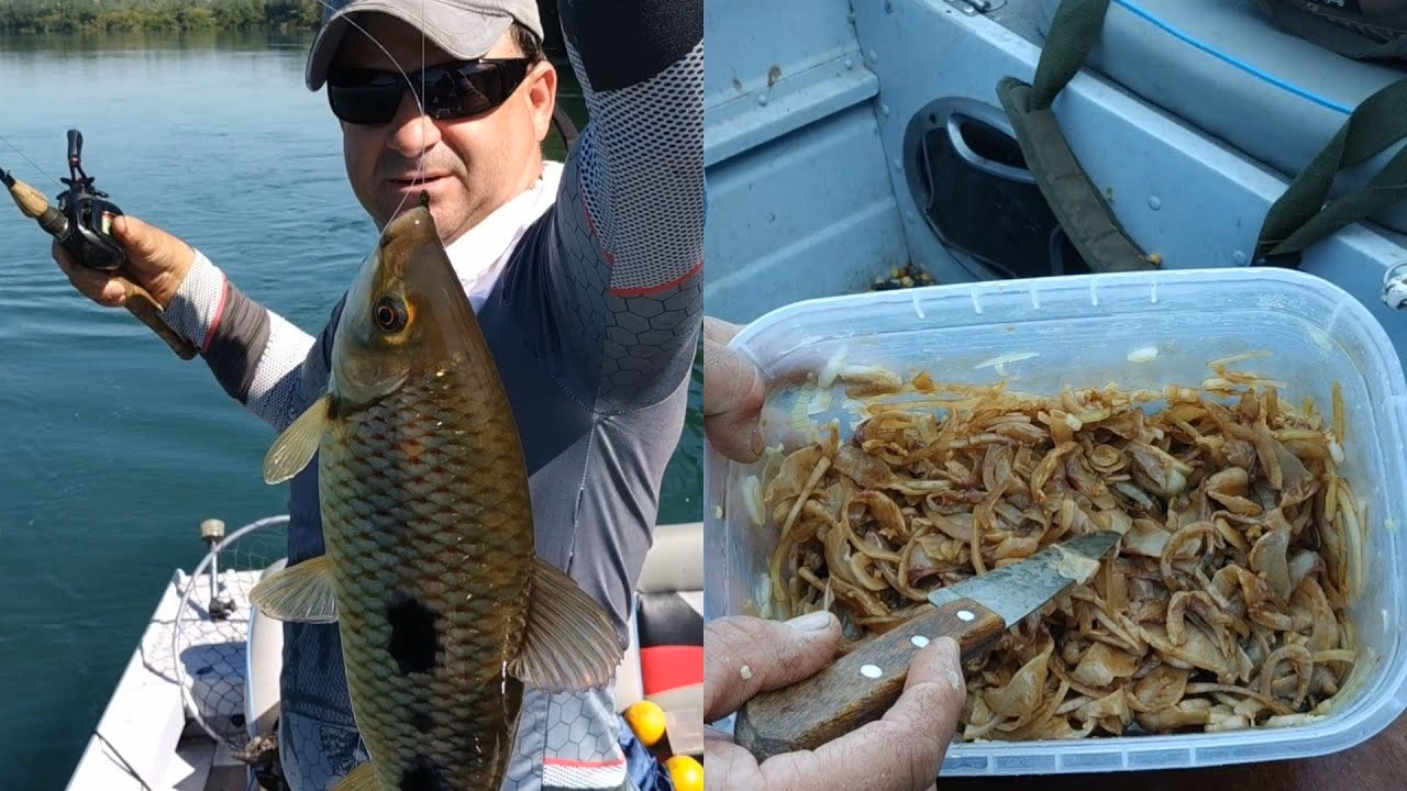 Como fazer sashimi de tilápia em 20 minutos?