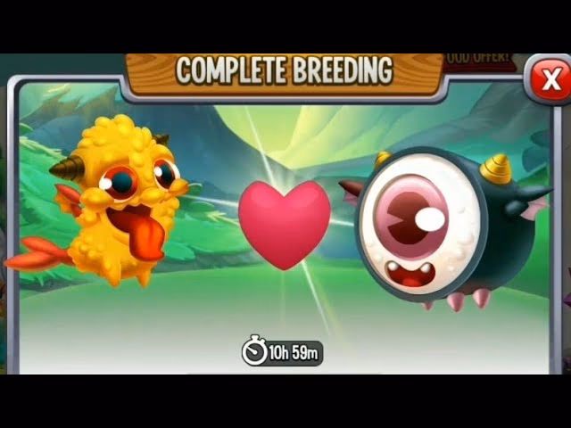 Does Maki Dragon sleep with one eye open?