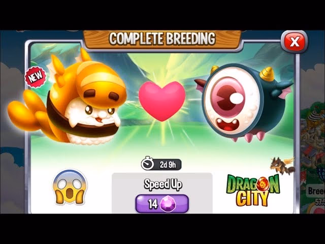 What is Dragon City (restaurant)?