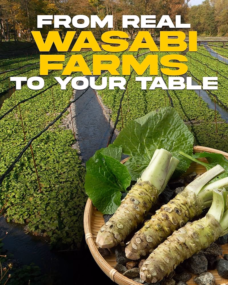 What is SG wasabi powder?