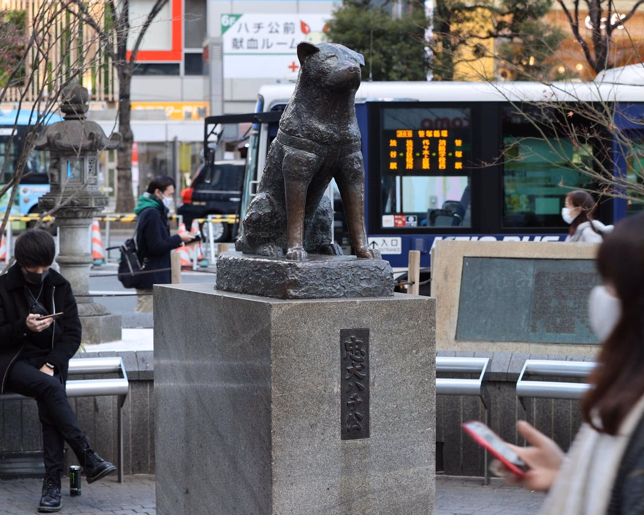 ¿Dónde se encuentra la estatua de Shibuya?