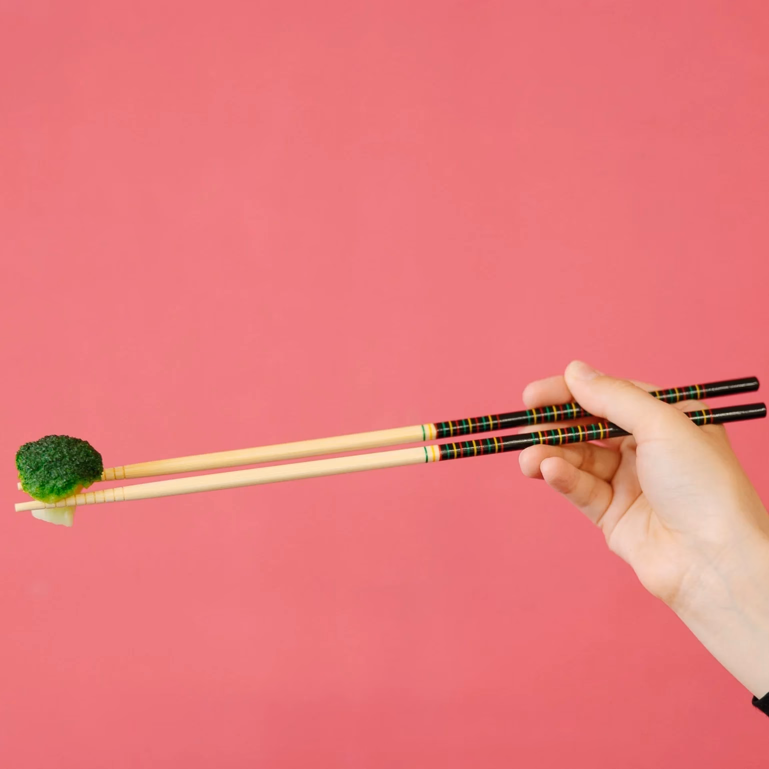 When did Hashi come to Japan?