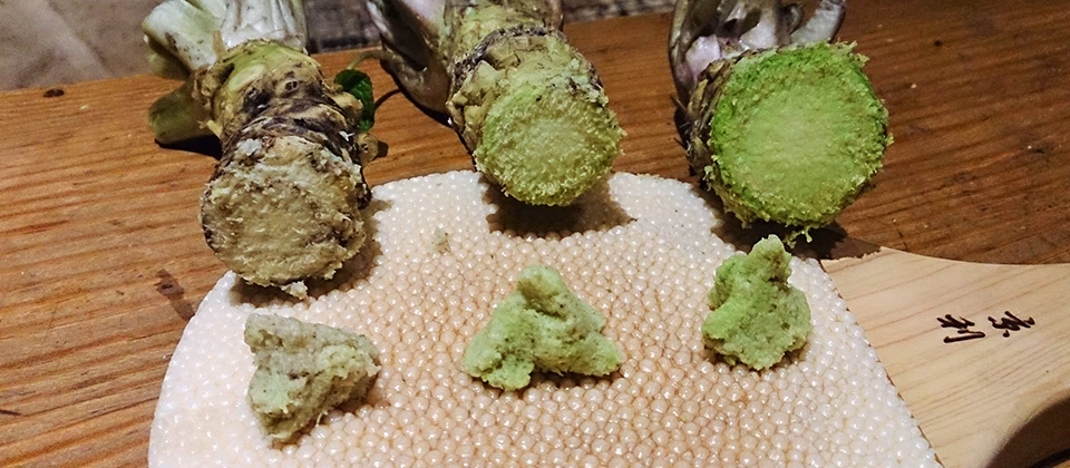 Is wasabi good for your sinuses?