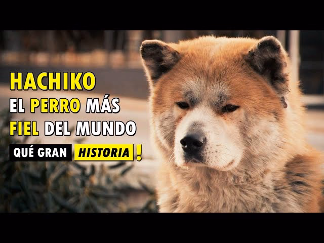 ¿Cuál es la vida de Doshi?