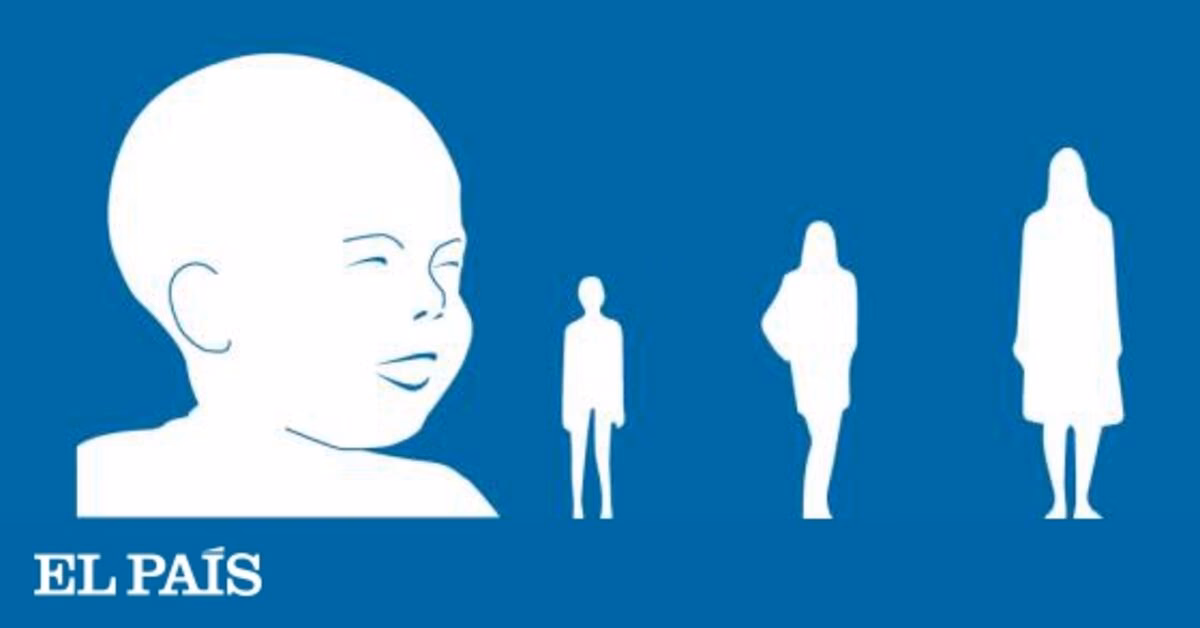 ¿Cuál es el legado de Doshi?