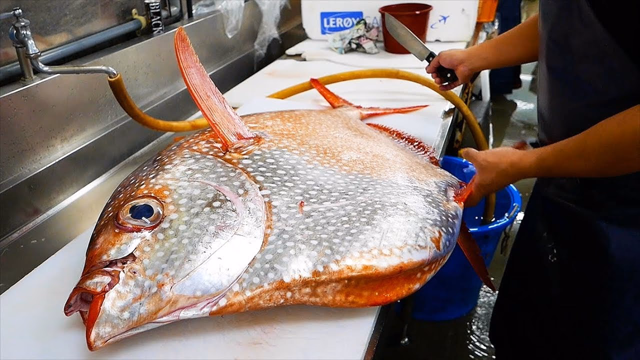 What does opah taste like?