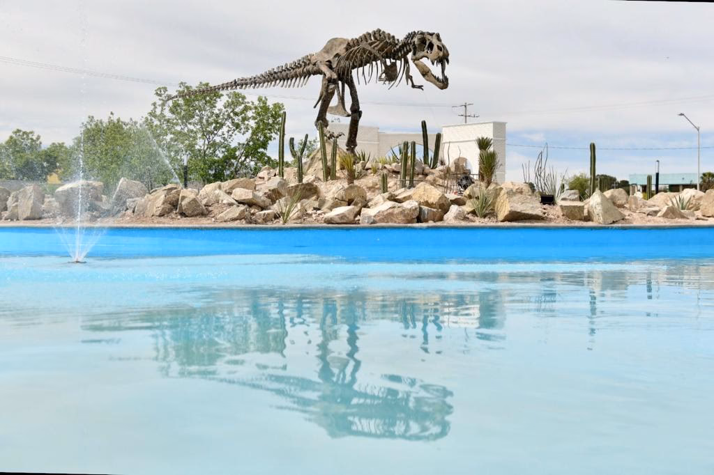 ¿Qué pasará el próximo domingo de Ramos?