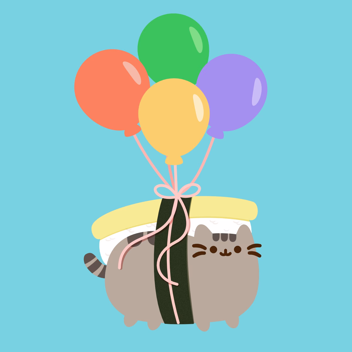 How do you wash a sushi Pusheen plush?