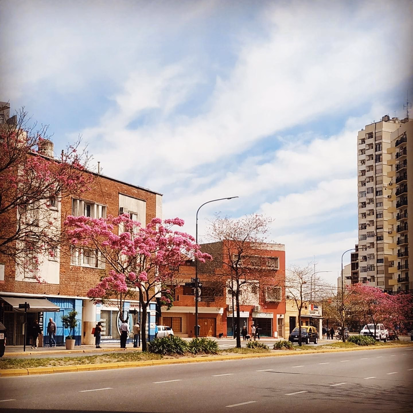 ¿Dónde se encuentra Saavedra Online?