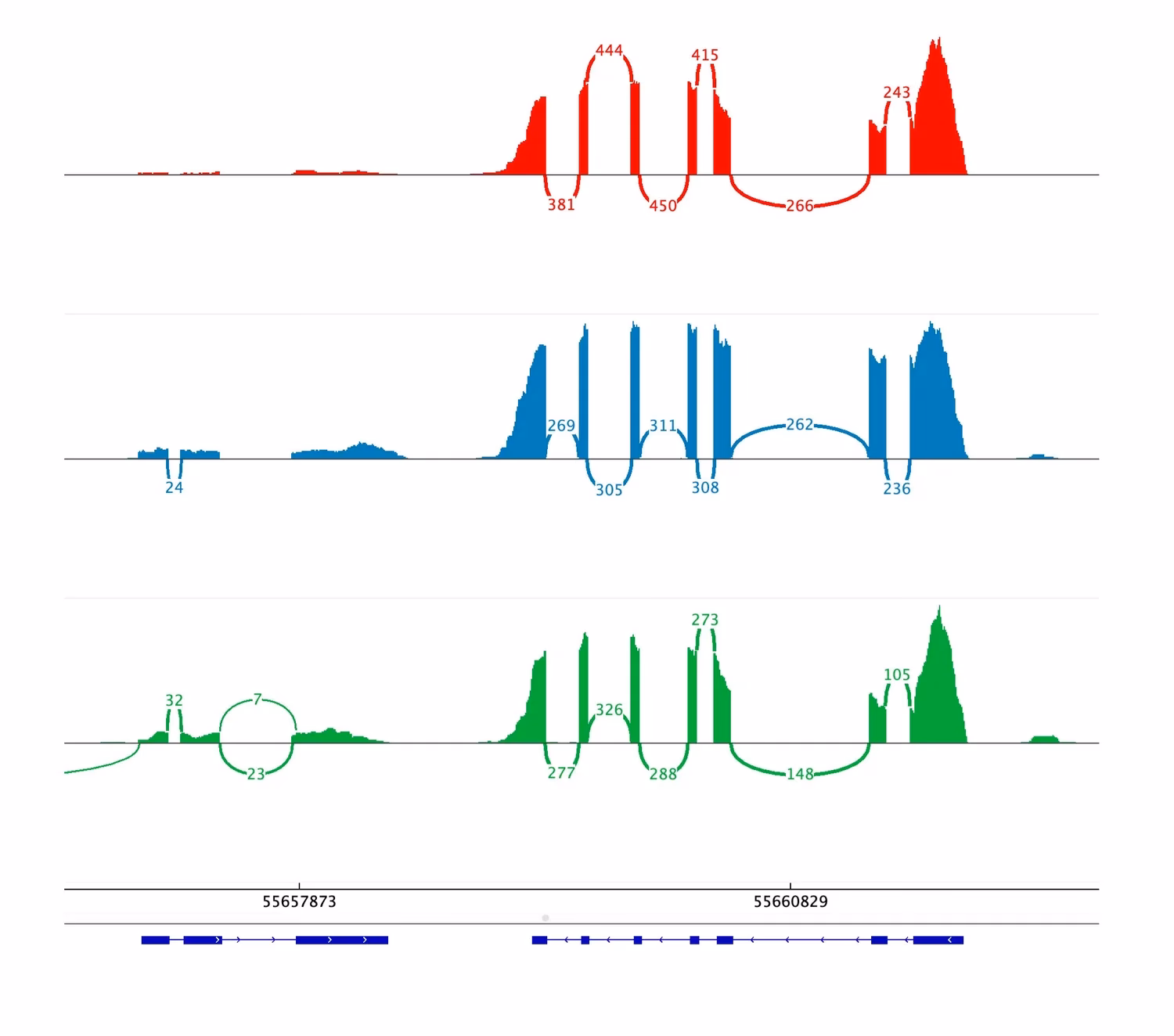 How do you create a sashimi plot from RNA-Seq data?