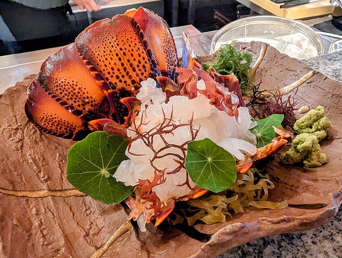 Which lobster is best for sashimi?