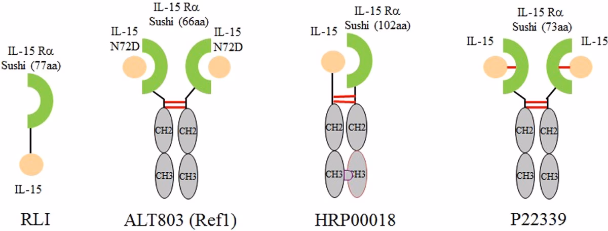 How many cysteines are in a sushi domain?