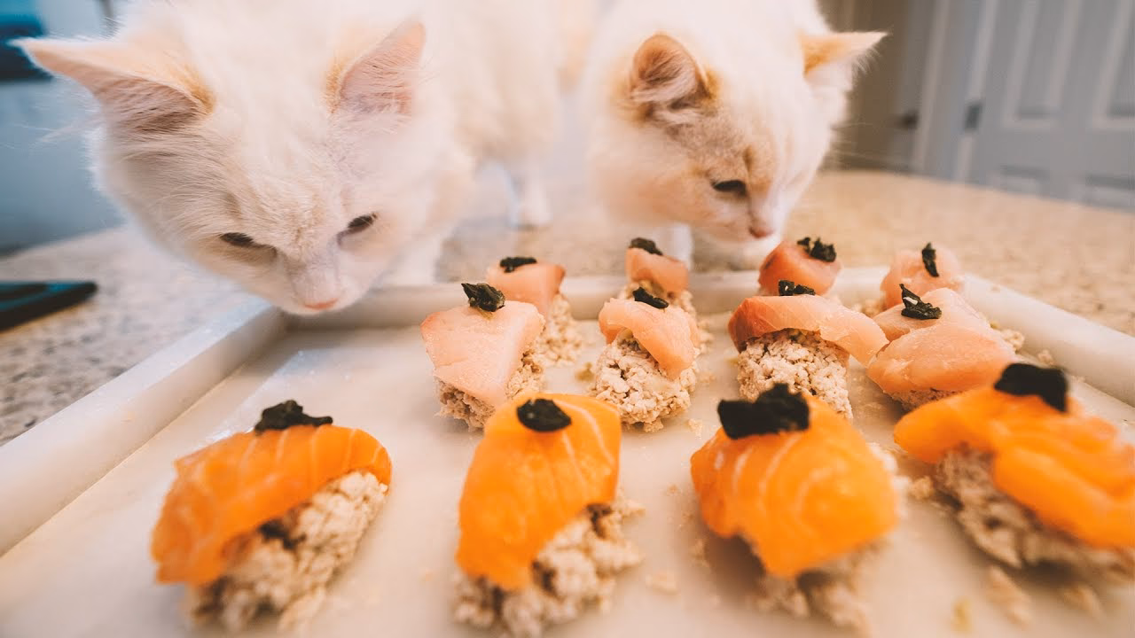 What happens if a cat eats sushi?
