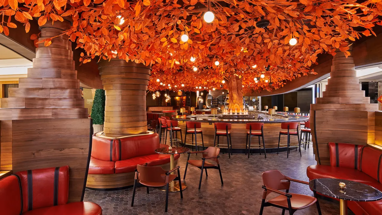 What is sushisamba room?
