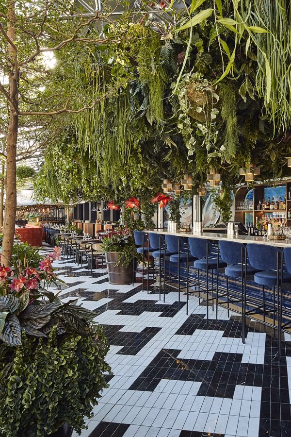 How much does afternoon tea cost at sushisamba Covent Garden?