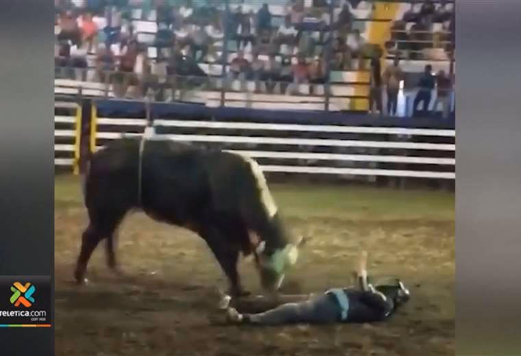 ¿Qué pasará con la matanza de toros?