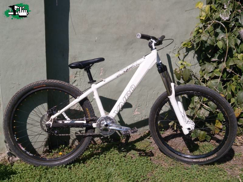 ¿Cómo puedo cultivar Wasabi?