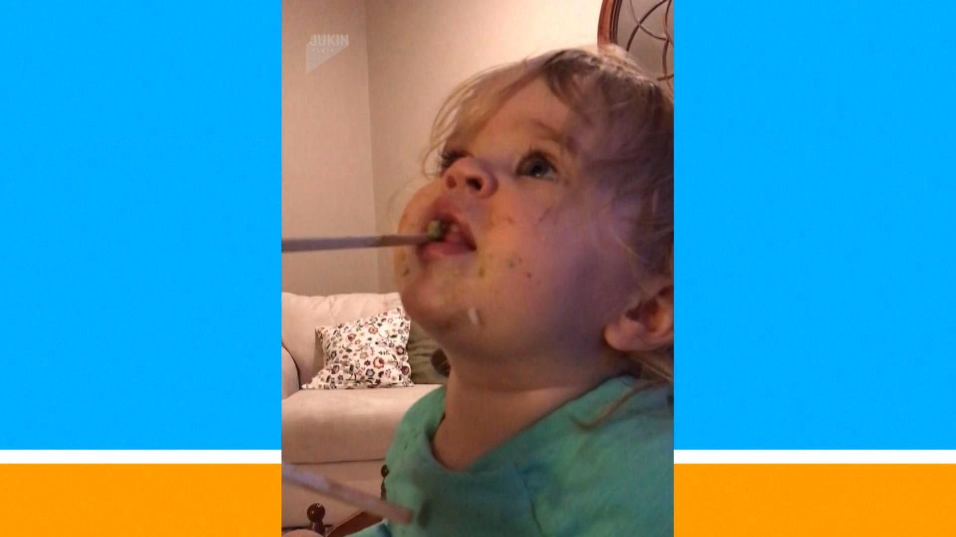 How can I get help regarding Wasabi?