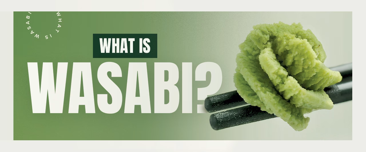 Qu'est-ce que le wasabi artificiel ?